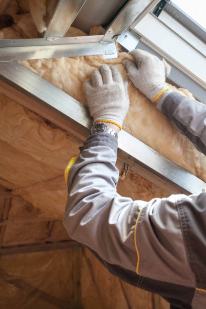 Best Insulation Maintenance and Repair in Dumas, AR