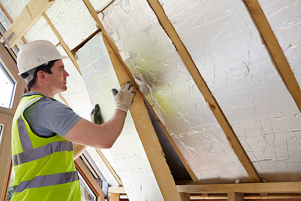 Best Spray Foam Insulation in Dumas, AR