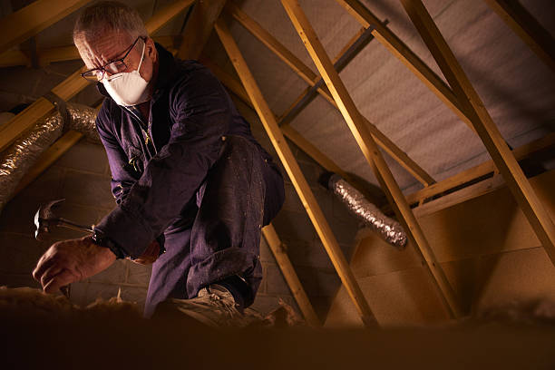 Best Residential Insulation in Dumas, AR