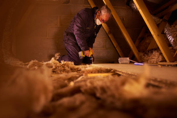 Best Specialized Insulation Services in Dumas, AR